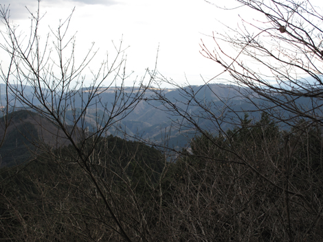 20160121hike (292)